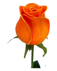 Real Touch Roses (Single Rose)