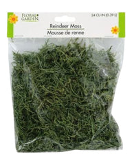 Floral Garden Reindeer Moss (24in)